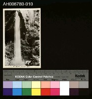 藏品(日治阿里山仙人洞妻戀的瀑布明信片)的圖片